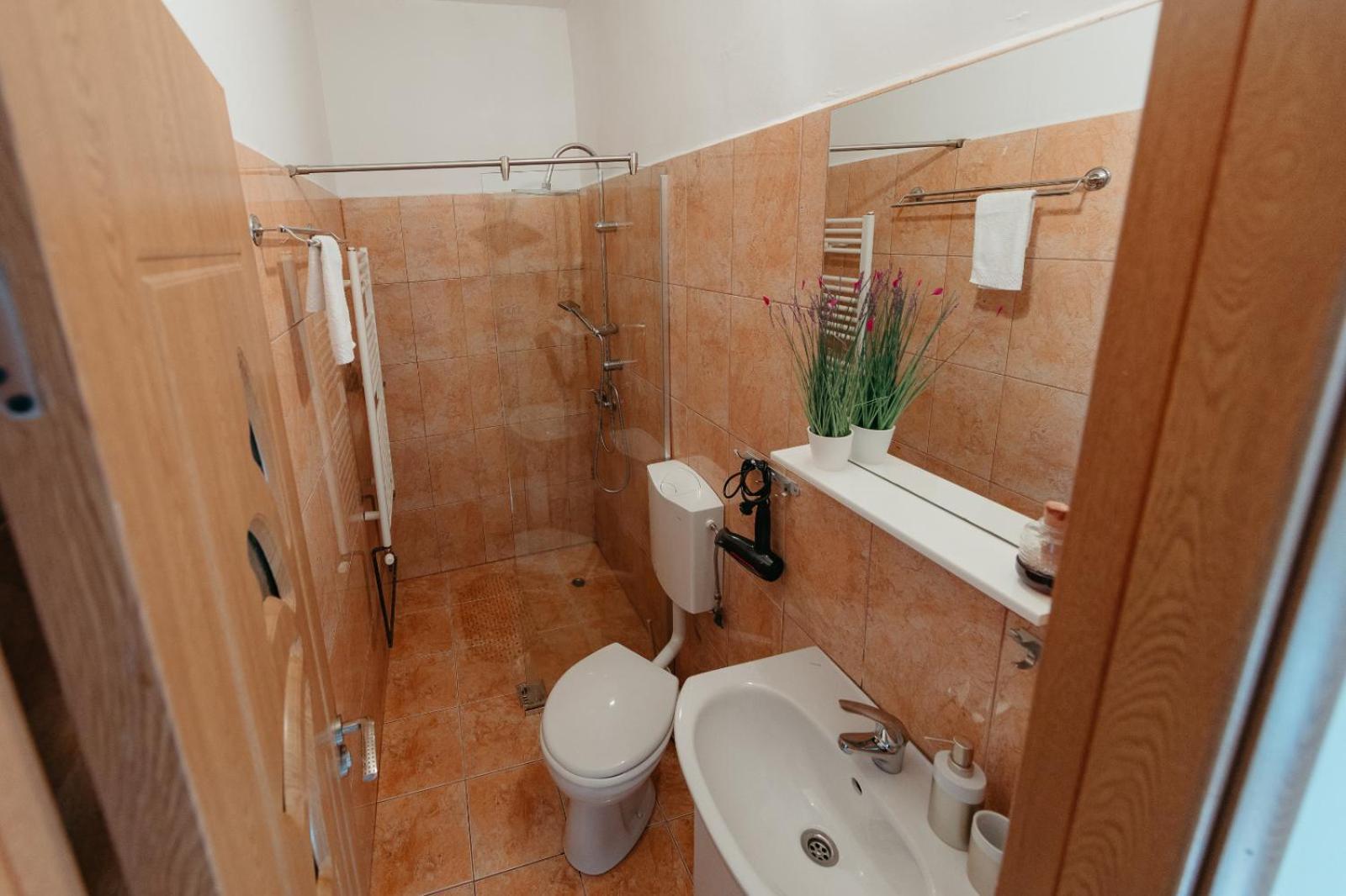 Flh - Apartament Mai Cu Aroma De Cafea Si Ceai Sibiu Exterior photo